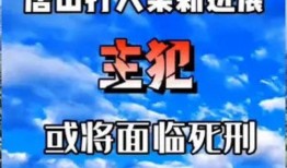 唐山打人案爆料新闻报道,暴力事件引发社会关注与反思